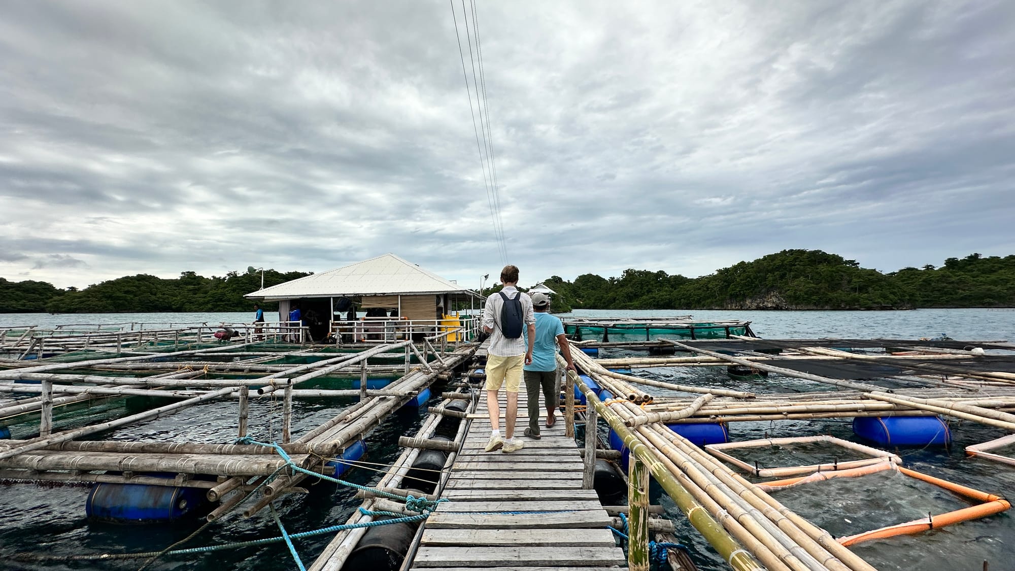Scale Welfare visiting a floating cage farm in the Philippines