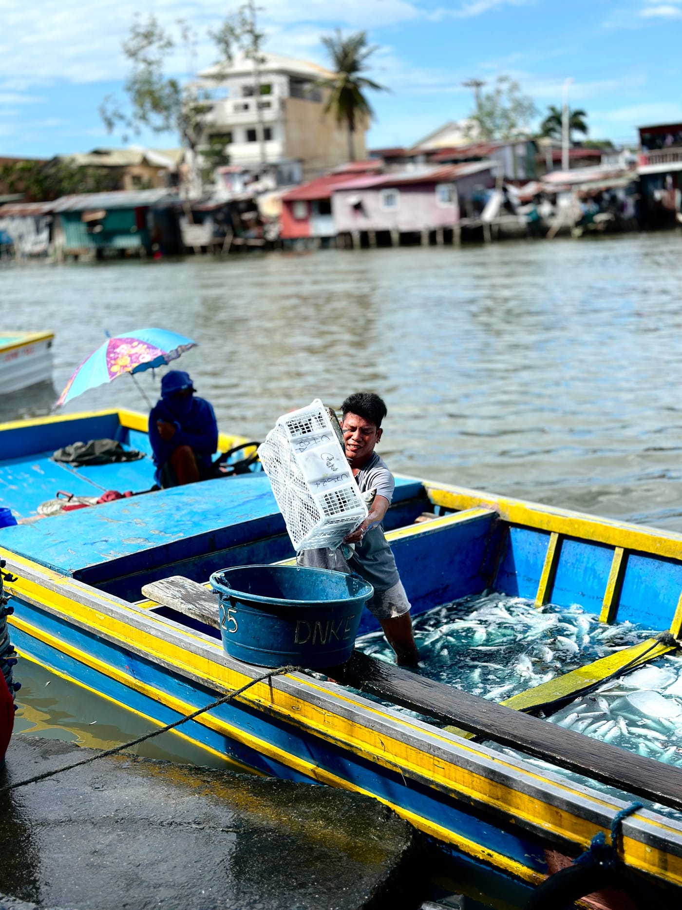 A worker unloading crates of milkfish from a harvest boat in the Philippines