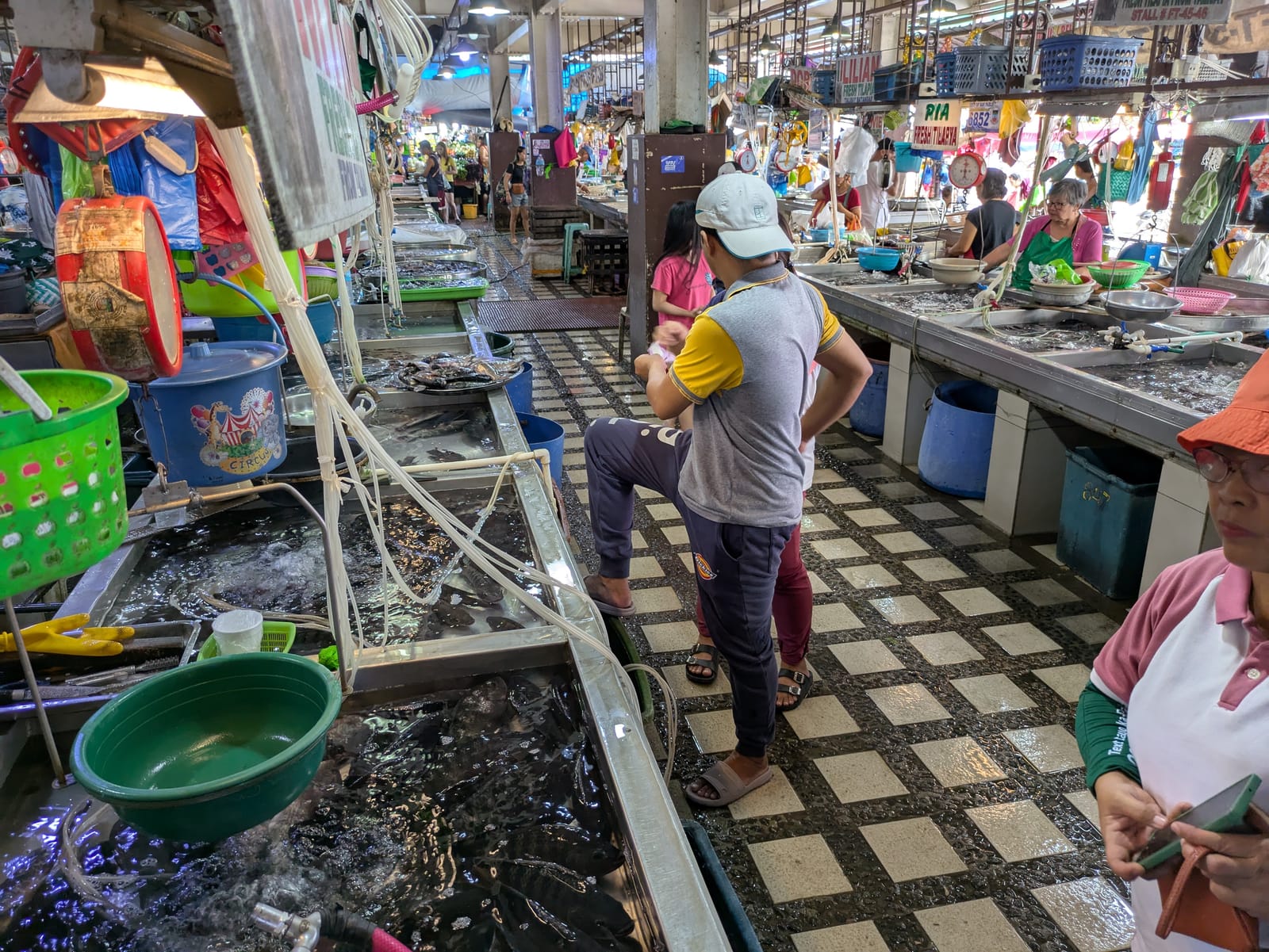 Live tilapia held in tanks for sale at a wet market in the Philippines